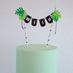 Kit de Festa Ready to Go | Selva