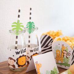 Kit de Festa Ready to Go | Selva